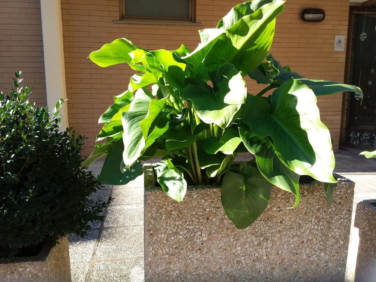 Albergo Nyers Perugia Luaran gambar